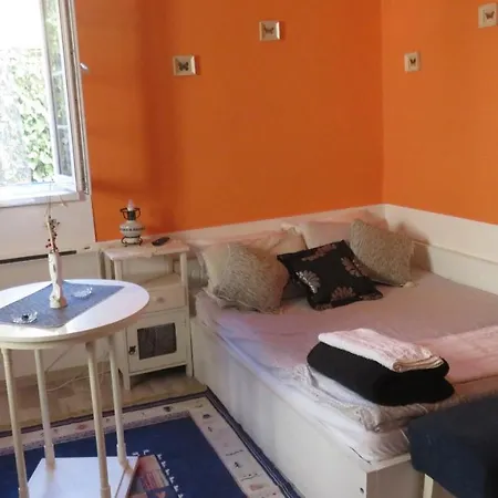 Apartment Pavlovic Soko Banja