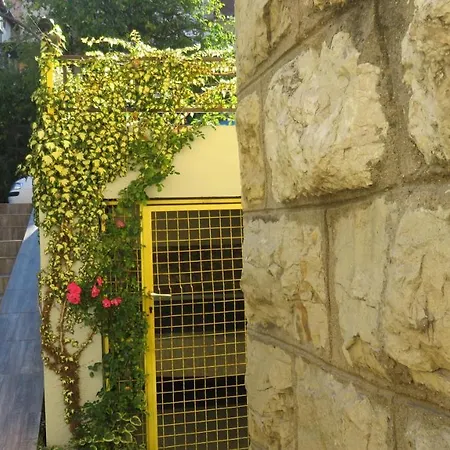 Apartment Pavlovic *