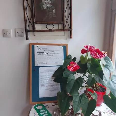 Pavlovic Lägenhet Soko Banja