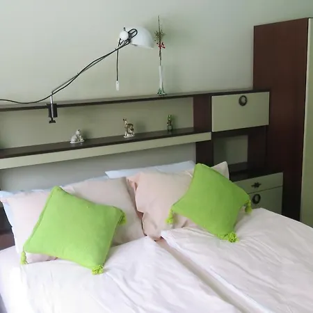 Apartment Pavlovic Soko Banja