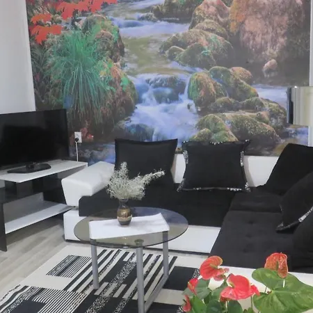 Apartment Pavlovic Soko Banja