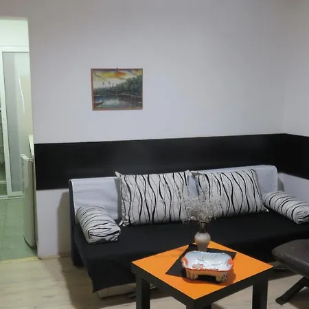 Pavlovic Apartment Soko Banja