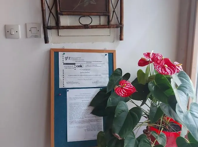 Pavlovic Apartman Sokobanja