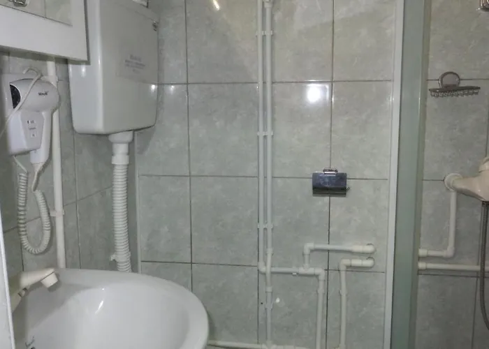 Apartman Pavlovic *