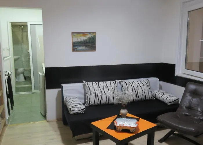 Pavlovic Apartman Sokobanja